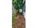 View of an unkept side yard featuring a large tree and dirt ground at 3526 E Piccadilly Rd, Phoenix, AZ 85018