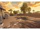 Backyard with rock ground cover, with mature trees and desert vegetation, offering a serene outdoor space at 4065 E University Dr # 332, Mesa, AZ 85205