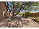 Expansive backyard featuring desert landscaping, mature trees, and a cozy outdoor setting at 4117 E Molly Ln, Cave Creek, AZ 85331