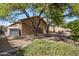 Large backyard showcasing desert landscaping, privacy fencing, and plenty of shade from mature trees at 4117 E Molly Ln, Cave Creek, AZ 85331