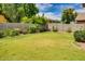Expansive backyard with a well-maintained lawn and mature trees, offering privacy and shade at 17765 W Ventura St, Surprise, AZ 85388