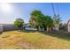 Lush backyard featuring mature trees, expansive lawn and fencing at 2145 W Cholla St, Phoenix, AZ 85029