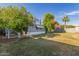 Spacious backyard with mature fruit trees and a private fence line at 2145 W Cholla St, Phoenix, AZ 85029