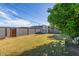 Wide shot of yard with a mix of grass, mature trees, sheds and perimeter walls at 2145 W Cholla St, Phoenix, AZ 85029