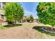 Expansive backyard featuring lush trees, ample space, and covered patio, perfect for outdoor activities at 3029 E Patrick St, Gilbert, AZ 85295