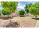 Spacious backyard features lush trees, brick-lined flower beds, and ample space for activities at 3029 E Patrick St, Gilbert, AZ 85295