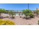 Fenced community pool with mature landscaping around its perimeter, creating a serene and private environment at 3892 E Harrison St, Gilbert, AZ 85295