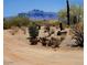 Desert landscape featuring native plants, cacti, and a mountain backdrop creating a scenic and natural setting at 9607 E Mckellips Rd, Mesa, AZ 85207