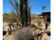 Lush desert landscaping featuring a variety of cacti and succulents, providing a tranquil outdoor setting at 9607 E Mckellips Rd, Mesa, AZ 85207