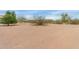 Large, level backyard perfect for outdoor activities and Gathering fun at 10849 E Elmwood St St, Mesa, AZ 85207
