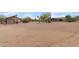Spacious backyard with room to play, including basketball court and storage at 10849 E Elmwood St St, Mesa, AZ 85207
