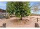 Lush backyard landscape with shade tree and brick patio at 10849 E Elmwood St St, Mesa, AZ 85207