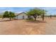 Well-kept white brick home in desert landscape, showcasing mature trees and natural vegetation at 10849 E Elmwood St St, Mesa, AZ 85207
