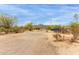 Scenic view of a quiet residential street with beautiful mountain views at 10849 E Elmwood St St, Mesa, AZ 85207