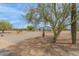 A desert residence with mature trees, gravel driveway, and lush desert landscape, offering privacy and space at 10849 E Elmwood St St, Mesa, AZ 85207