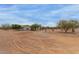 Expansive desert property featuring native trees, a gravel driveway, and a well-maintained residence at 10849 E Elmwood St St, Mesa, AZ 85207