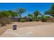 This backyard features a concrete patio, gravel landscaping, block wall, and desert foliage at 2641 E Binner Dr, Chandler, AZ 85225