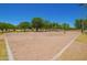 Sand volleyball court in a community park with green trees at 2641 E Binner Dr, Chandler, AZ 85225
