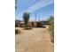 View of the home's backyard, featuring gravel and a partially shaded area from the overhanging trees at 2825 E Adams St, Phoenix, AZ 85034