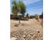 Large gravel yard with a tree, leading up to a single story home under a bright sky at 2825 E Adams St, Phoenix, AZ 85034