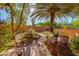 Lush desert backyard with mature trees, colorful potted plants, and a peaceful setting at 3416 E Squawbush Pl, Phoenix, AZ 85044