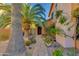 Charming home entrance with stone pathway, lush greenery, and desert landscaping at 3416 E Squawbush Pl, Phoenix, AZ 85044