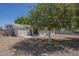A well maintained backyard featuring a shade tree and a storage shed at 5657 E Dallas St, Mesa, AZ 85205