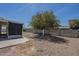This is a backyard with a gravel base, block fence, and mature citrus tree at 5657 E Dallas St, Mesa, AZ 85205