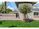Backyard view with synthetic grass, mature tree, and access to the home at 6001 N 10Th Way, Phoenix, AZ 85014