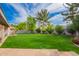 Large, well-maintained backyard with a manicured lawn, mature trees, and privacy, ideal for outdoor enjoyment at 8851 S Juniper St, Tempe, AZ 85284