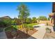 Lush backyard oasis with mature trees, vibrant landscaping, and a concrete walkway at 15422 W Ventura St, Surprise, AZ 85379