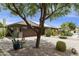 Exterior view of the front yard featuring desert landscaping and a brick driveway at 1656 W Meseto Cir, Mesa, AZ 85202