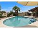 Refreshing backyard pool surrounded by lush greenery and palm trees, offering a serene oasis at 1656 W Meseto Cir, Mesa, AZ 85202