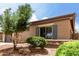 Home exterior featuring manicured landscaping, a mature tree, and a shuttered window, providing curb appeal at 18719 E Pelican Ct, Queen Creek, AZ 85142