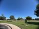 Scenic community park with green spaces, mature trees, picnic tables, and a basketball court for outdoor enjoyment at 2154 E Forge Ave, Mesa, AZ 85204