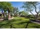 Meticulously manicured backyard with lush landscaping and mature trees at 22022 N Calle Royale Dr, Scottsdale, AZ 85255