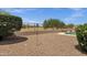 Spacious, desert landscaped backyard with lush green bushes and a wrought iron fence at 34944 N Mirandesa Dr, San Tan Valley, AZ 85143