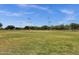 A large, grassy baseball field bordered by trees and lighting at the Circle Cross Ranch community park at 34944 N Mirandesa Dr, San Tan Valley, AZ 85143