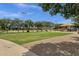Expansive green space, mature trees, and shaded picnic areas in a well-maintained community park at 34944 N Mirandesa Dr, San Tan Valley, AZ 85143