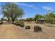 Neighborhood street view with mature landscaping and well-maintained common areas, set against a clear blue sky at 34944 N Mirandesa Dr, San Tan Valley, AZ 85143