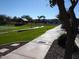 Community park featuring lush green grass, mature trees, walking paths, and a covered picnic area at 5612 S 21St Pl, Phoenix, AZ 85040