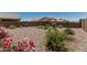 Wide-angle shot of the backyard features gravel groundcover, native plants and vibrant flowering bushes and privacy fence at 6305 W Pleasant Oak Ct, Florence, AZ 85132