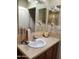 Bathroom features modern sink and vanity, neutral paint, and decorative mirror at 9302 E Broadway Rd # 157, Mesa, AZ 85208