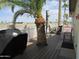 Outdoor deck featuring a palm tree, grill, and patio set, perfect for entertaining and relaxation at 9302 E Broadway Rd # 157, Mesa, AZ 85208