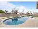 Backyard features a private swimming pool with an artificial turf surround at 1036 S 75Th St, Mesa, AZ 85208