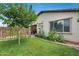 Landscaped backyard with grassy area, plants, and privacy fence at 11574 W Luxton Ln, Avondale, AZ 85323