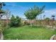 Landscaped backyard featuring lush green grass, a young shade tree, and a charming wooden garden trellis at 11574 W Luxton Ln, Avondale, AZ 85323
