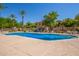 Resort-style community pool surrounded by lush landscaping and comfortable lounging areas at 1351 N Pleasant Dr # 2051, Chandler, AZ 85225