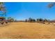 Expansive grassy park area with playground, perfect for community gatherings and recreation at 14352 W Lamoille Dr, Surprise, AZ 85374