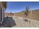 Low-maintenance backyard with privacy wall and young trees at 25109 N 174Th Ln, Surprise, AZ 85387